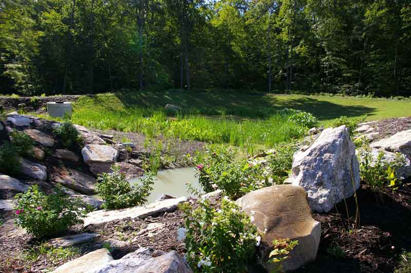 rocks around small pond